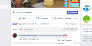 Paid Facebook Advertisements 13
