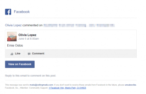 Paid Facebook Advertisements 8